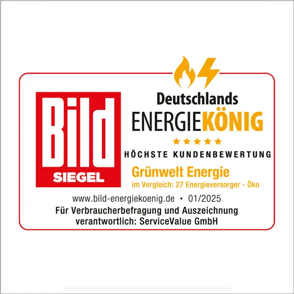 Deutschlands Energie-König 2025