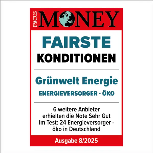 FAIRSTE KONDITIONEN 2025